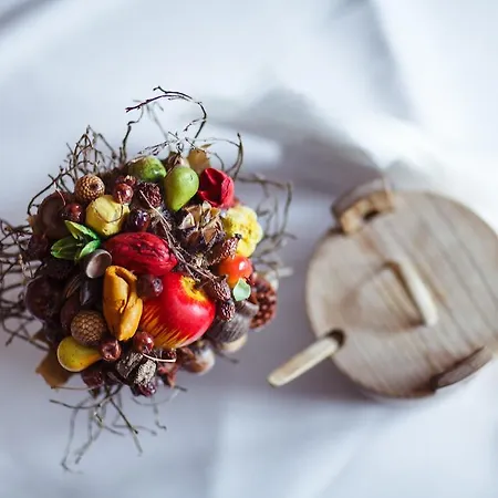 Bed & Breakfast Stylowy Goralski Dom Rozetka 3*